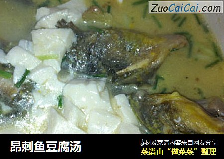 昂刺鱼豆腐汤