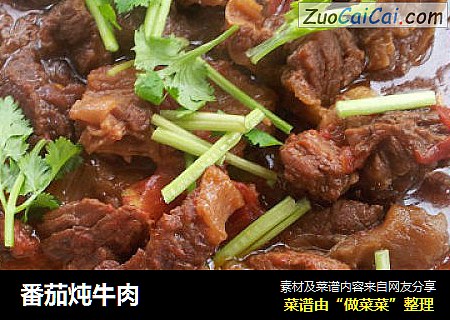 番茄炖牛肉