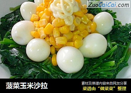 菠菜玉米沙拉
