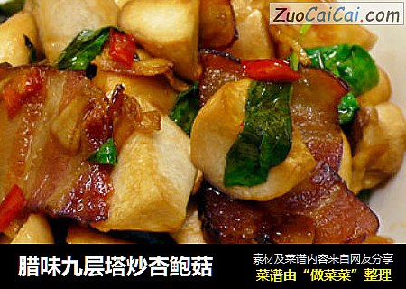 腊味九层塔炒杏鲍菇