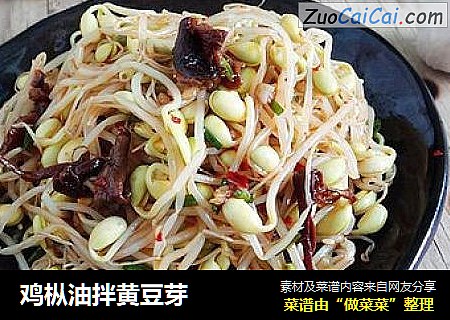 鸡枞油拌黄豆芽
