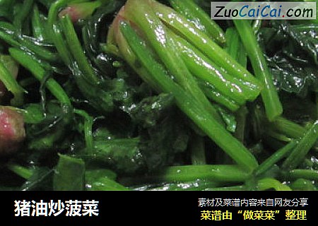猪油炒菠菜