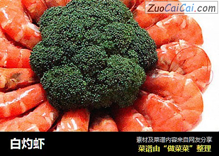白灼虾