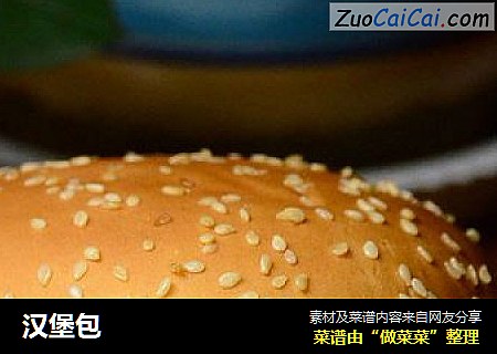 汉堡包