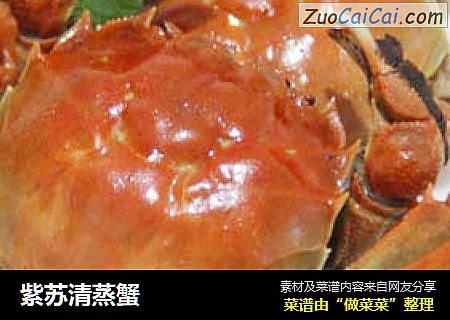 紫苏清蒸蟹