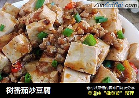 树番茄炒豆腐