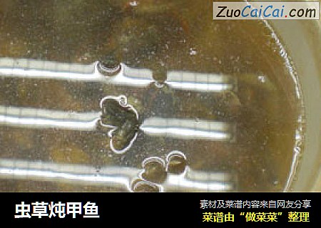 虫草炖甲鱼