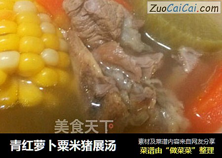 青红萝卜粟米猪展汤