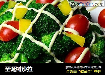 圣诞树沙拉