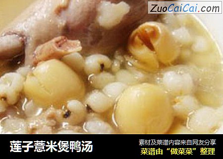 莲子薏米煲鸭汤