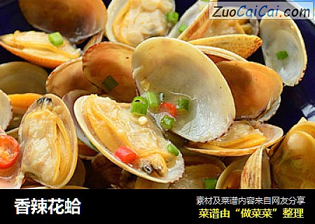 香辣花蛤