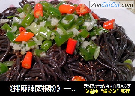 《拌麻辣蕨根粉》——让人回味无穷