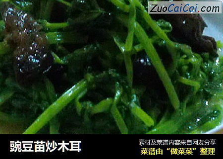 豌豆苗炒木耳