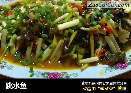跳水鱼