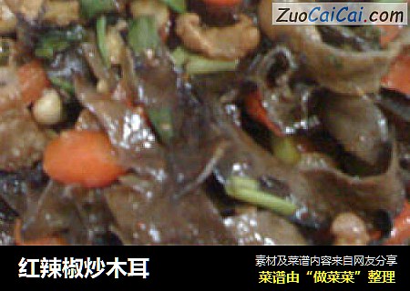 红辣椒炒木耳