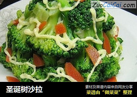 圣诞树沙拉