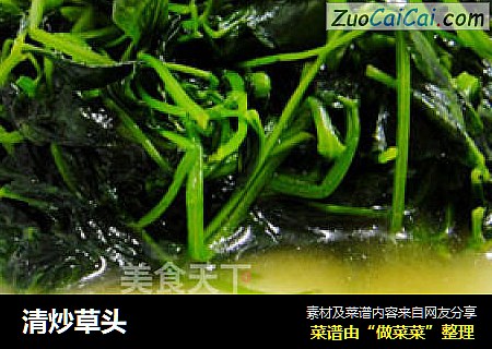 清炒草头