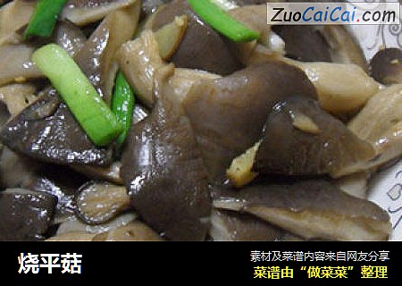 烧平菇