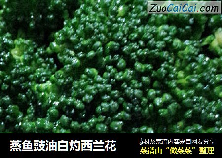 蒸鱼豉油白灼西兰花