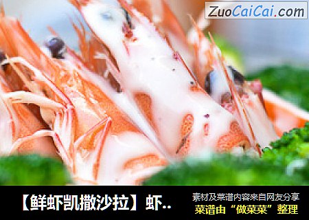 【鲜虾凯撒沙拉】虾还是要吃鲜活的