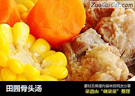 田园骨头汤