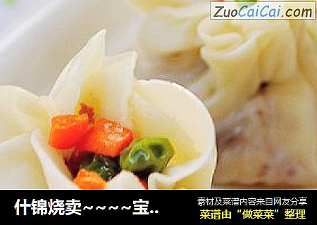 什锦烧卖~~~~宝宝的专属烧卖