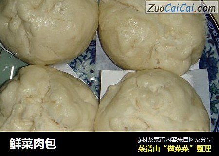 鲜菜肉包