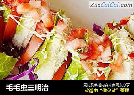 毛毛虫三明治