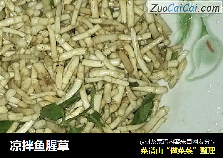 凉拌鱼腥草