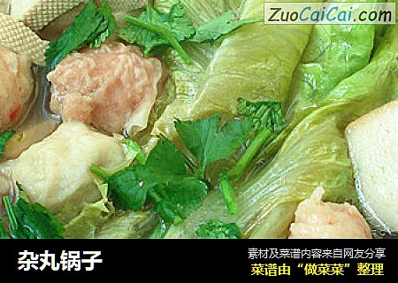 杂丸锅子
