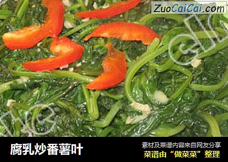 腐乳炒番薯叶