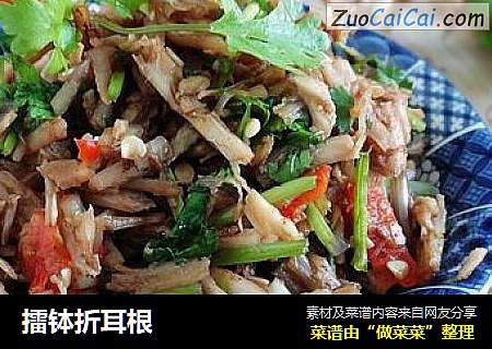 擂钵折耳根