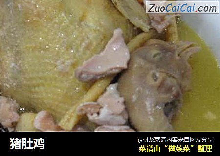 猪肚鸡