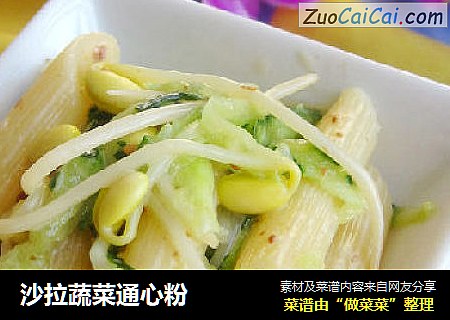 沙拉蔬菜通心粉
