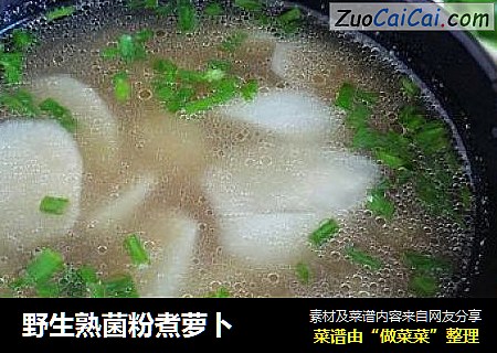 野生熟菌粉煮萝卜