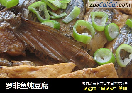 罗非鱼炖豆腐