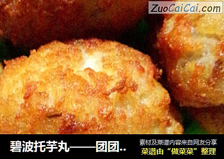 碧波托芋丸——团团圆圆