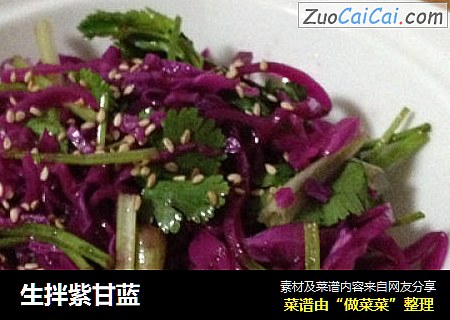 生拌紫甘蓝