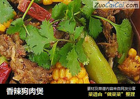 香辣狗肉煲