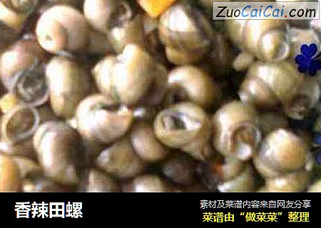 香辣田螺