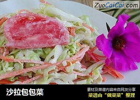 沙拉包包菜