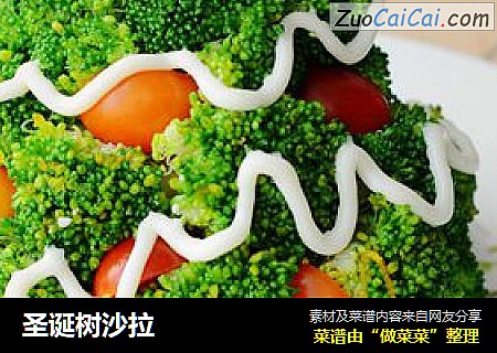 圣诞树沙拉
