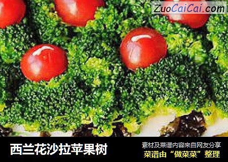 西兰花沙拉苹果树