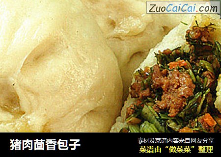 猪肉茴香包子