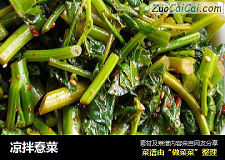 凉拌憃菜