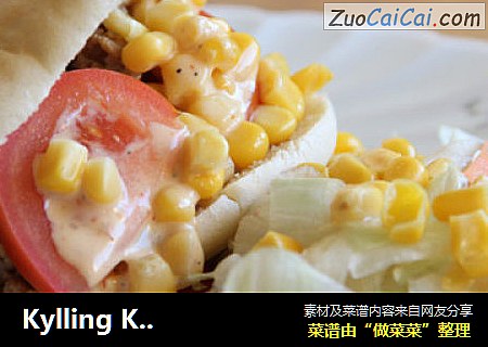 KyllingKebabmedPitabr?d------简易的土耳其烤肉配皮塔饼