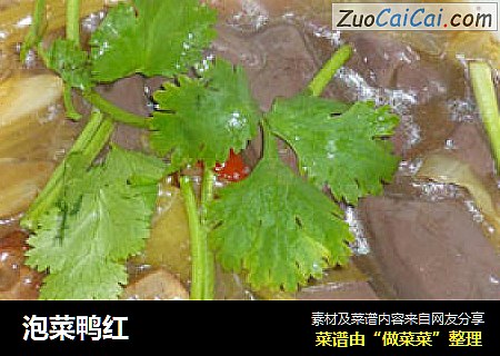 泡菜鸭红