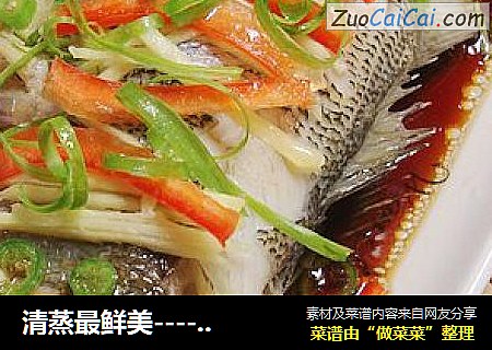 清蒸最鲜美--------【清蒸鲈鱼】