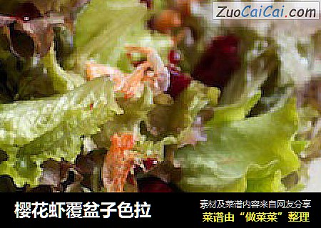 樱花虾覆盆子色拉