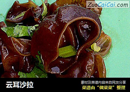 云耳沙拉